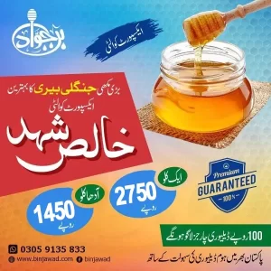 Big-Bee-Forest-Jujube-Export-Quality-Pure-Honey-1