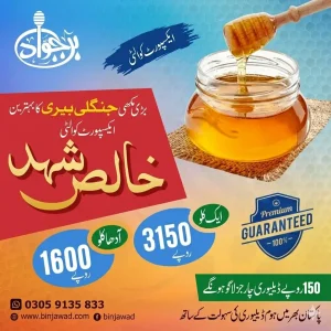 Big Bee Forest Jujube Export Quality Pure Honey