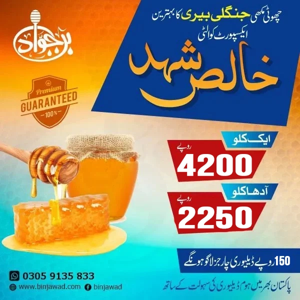 The-Best-Export-Quality-Honey-Of-Small-Bee-ٖForest-Jujube