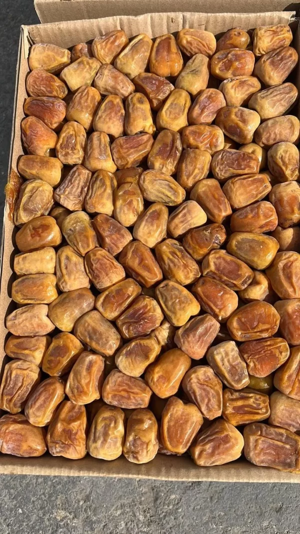 Sagai Dates Full Jambo Premium Saudi Arabian Dry Fruits Bin Jawad