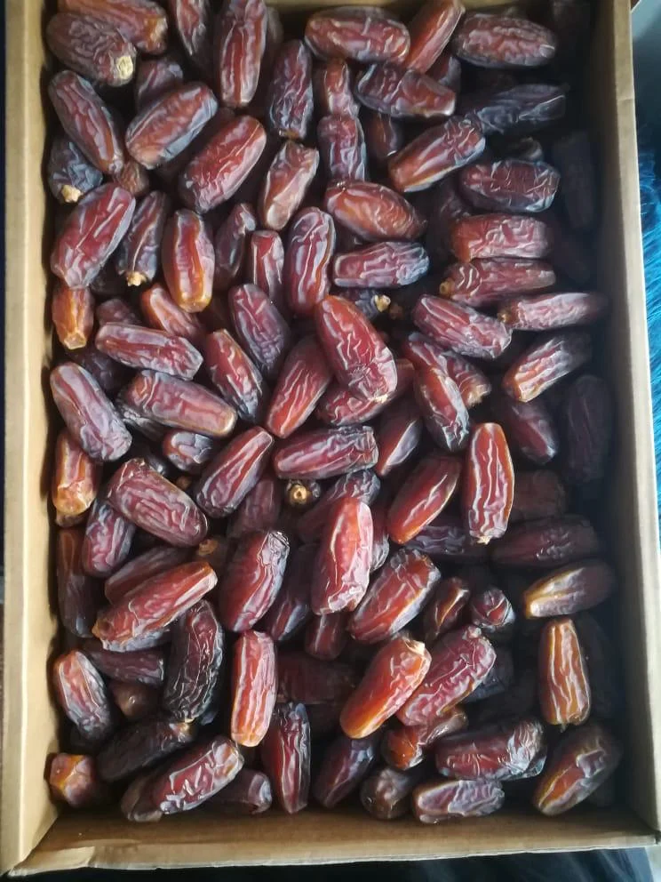 Premium Saudi Mabroom Dates - Full Jambo Size