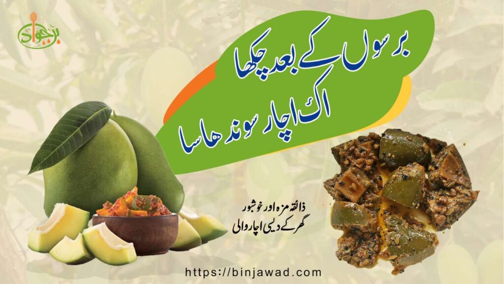 After Many Years I Tasted It A Mango Pickle With An Earthy Aroma