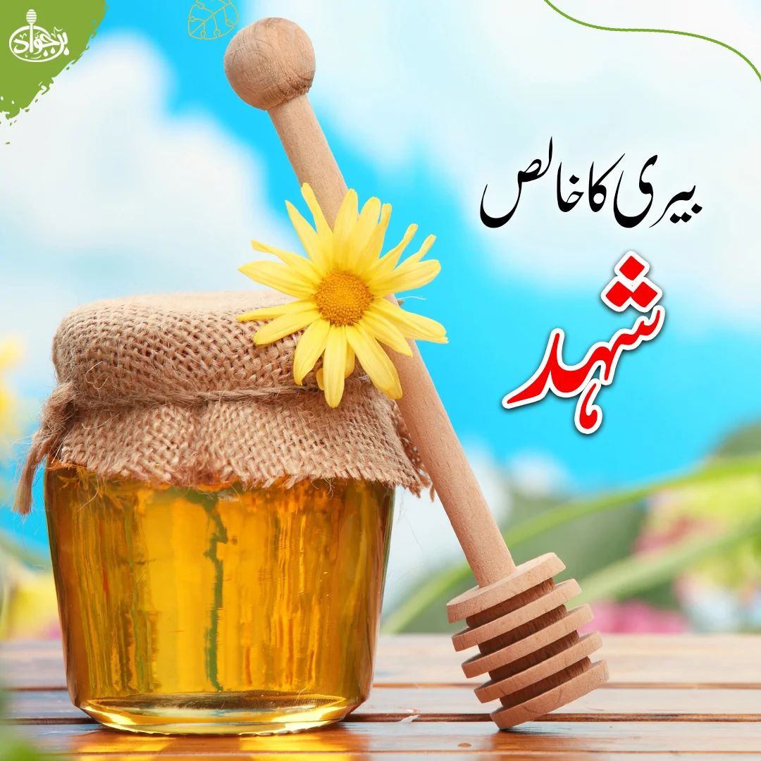 Pure Organic Berry Honey — Beri ka Khalis Desi Shahid Export Quality